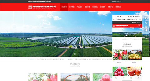 企業(yè)網(wǎng)站、程序軟件App解決方案